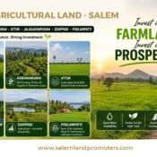 Farm land in Salem Tamil Nadu
