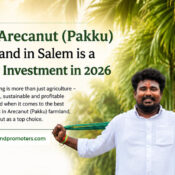 Arecanut agriculture land
