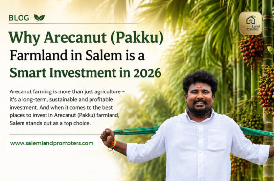 Why Arecanut (Pakku) Farmland in Salem is a Smart Investment in 2026