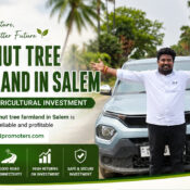 Coconut Tree Farmland in Salem