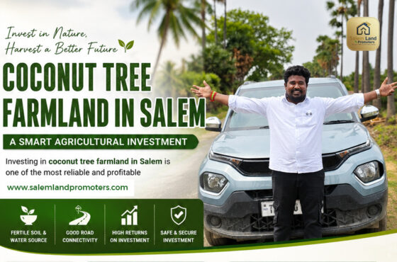 Coconut Tree Farmland in Salem