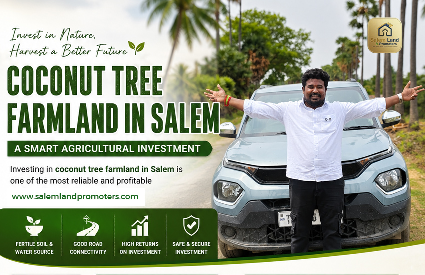 Coconut Tree Farmland in Salem